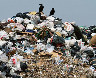 Новости: «Мусорный скандал» в Свердловской области