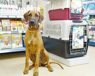 Новости: Россельхознадзор выявил лицензиатов-нарушителей!