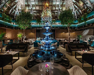 Новости: Ресторан Моргенштерна не получил алкогольную лицензию?