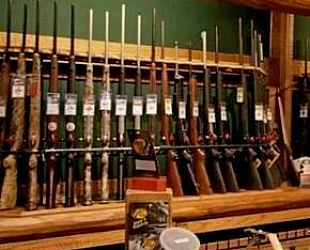 Новости: Росгвардия намерена ввести госпошлину за лицензию на оружие