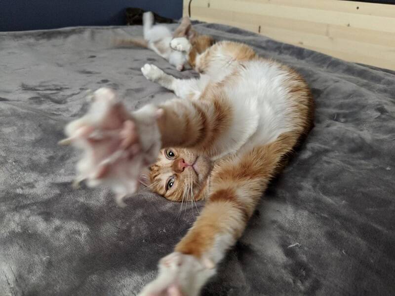 post-1654869-0-56783500-1577295169.jpg post-1654869-0-56783500-1577295169.jpg