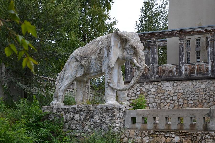 Слон 3 фото: Слон 3