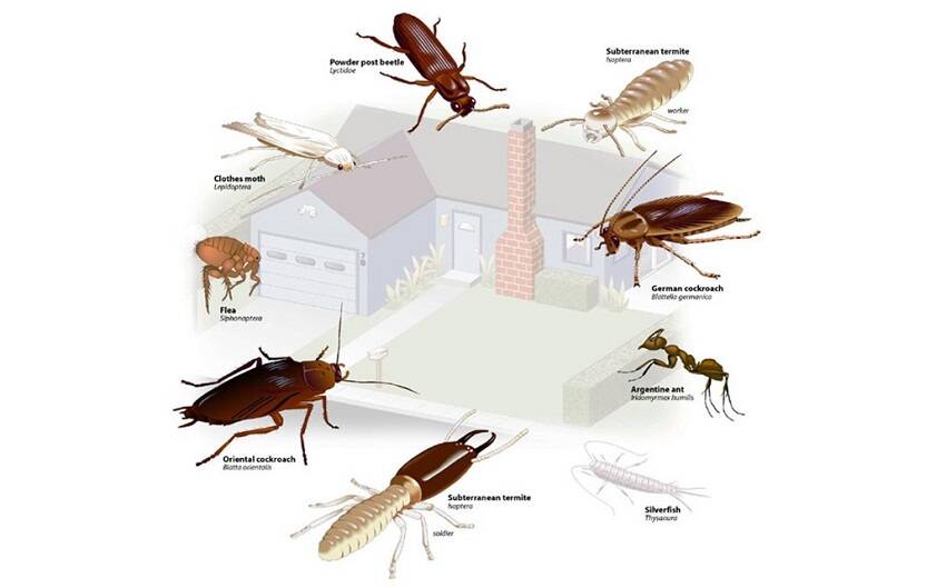 DYOlbrZXkAI2eVV.jpg DYOlbrZXkAI2eVV.jpg