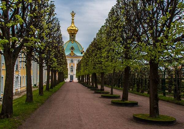 Сад Петергофа фото: Сад Петергофа