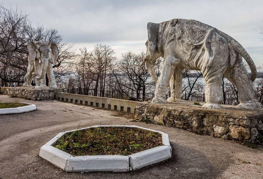 Слон 2 фото: Слон 2